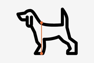 Drawing of a dog with arrow