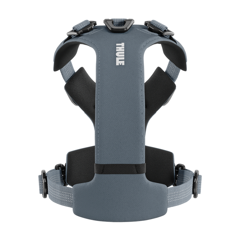 Thule Dart harness XS dark slate