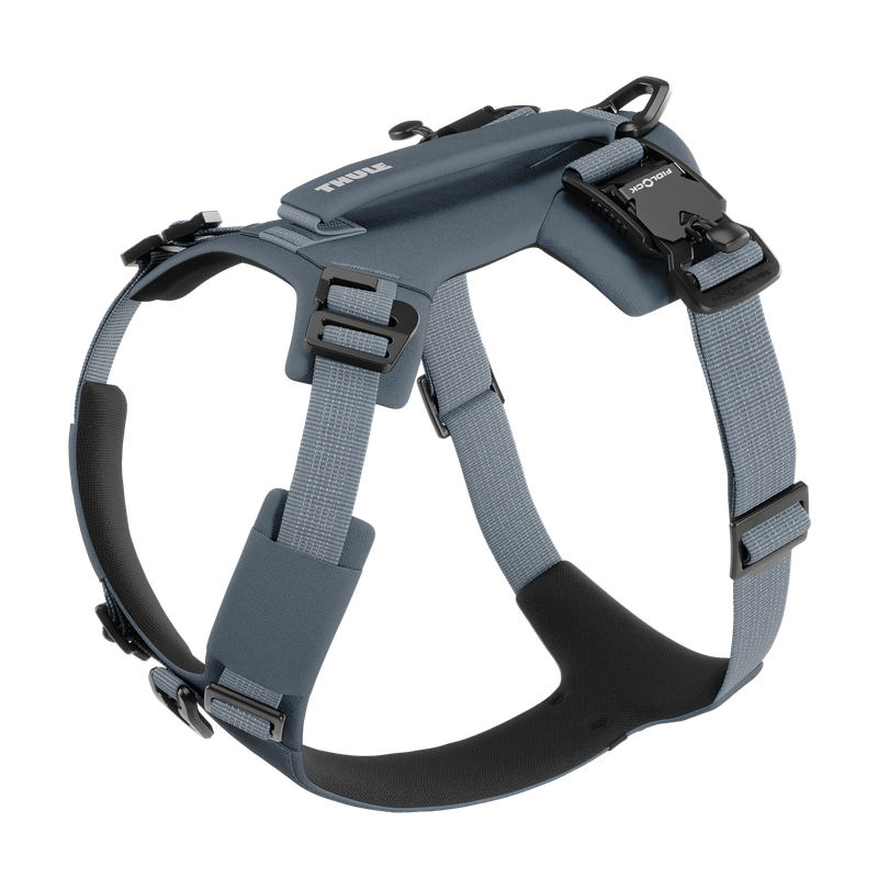 Thule Dart harness M dark slate