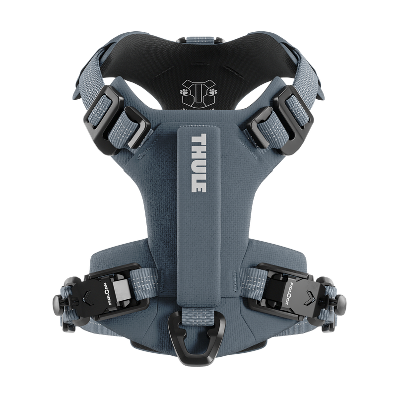 Thule Dart harness XS dark slate