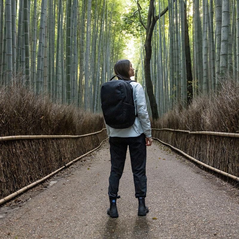 A woman stands on a path next to a bamboo forest with a black Thule Subterra backpack.