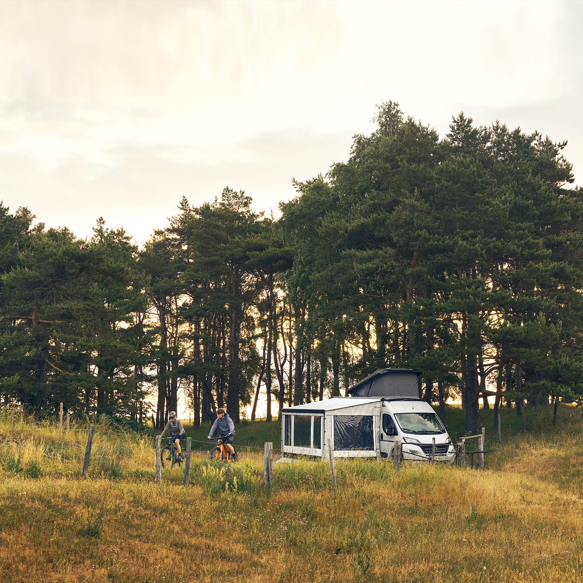 A van with a Thule Residence G3 motorhome awning tent is parked next to a forest and orange grass.