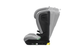 Thule Palm