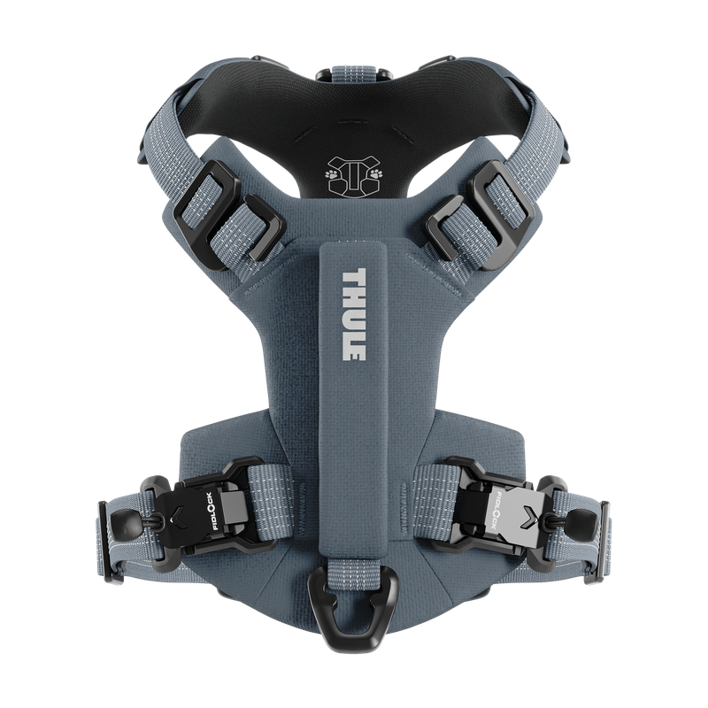 Thule Dart harness S dark slate