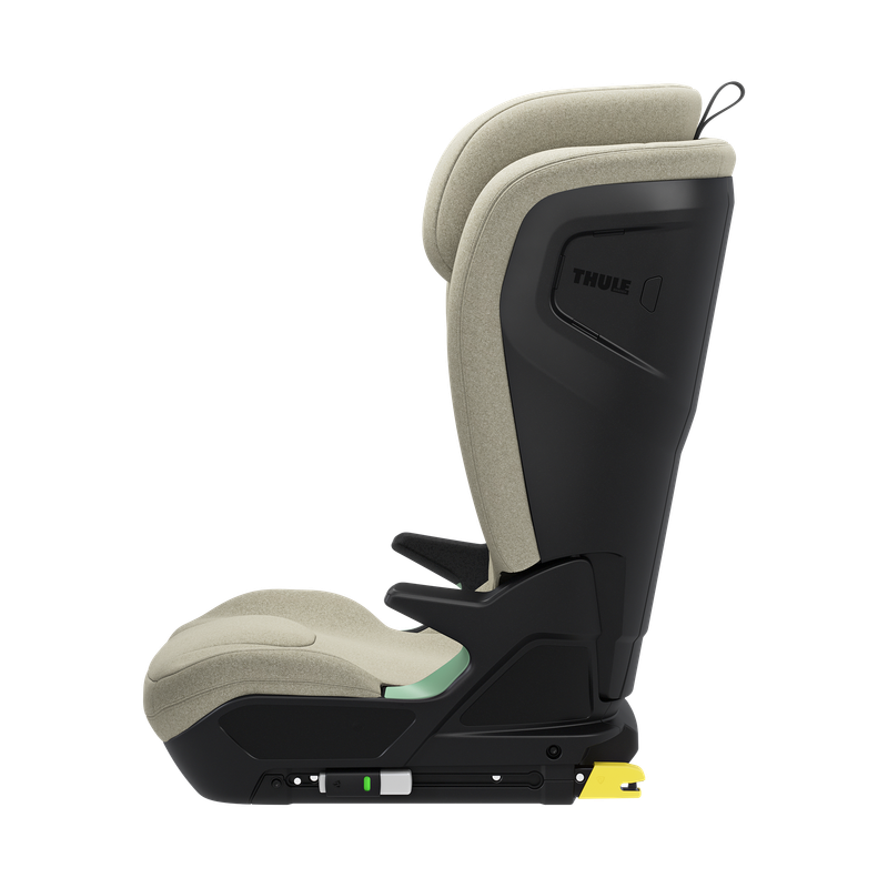 Thule Palm