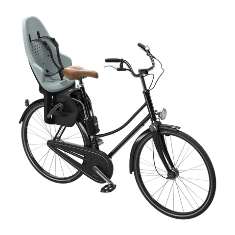 Thule Yepp 2 maxi frame mounted child bike seat alaska blue