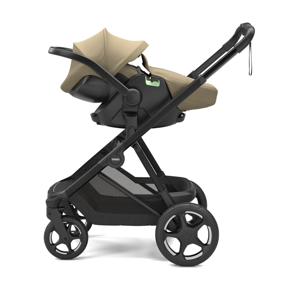 Thule Maple - Faded khaki