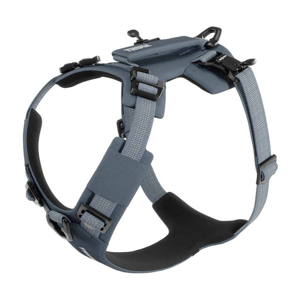 Thule Dart harness S dark slate