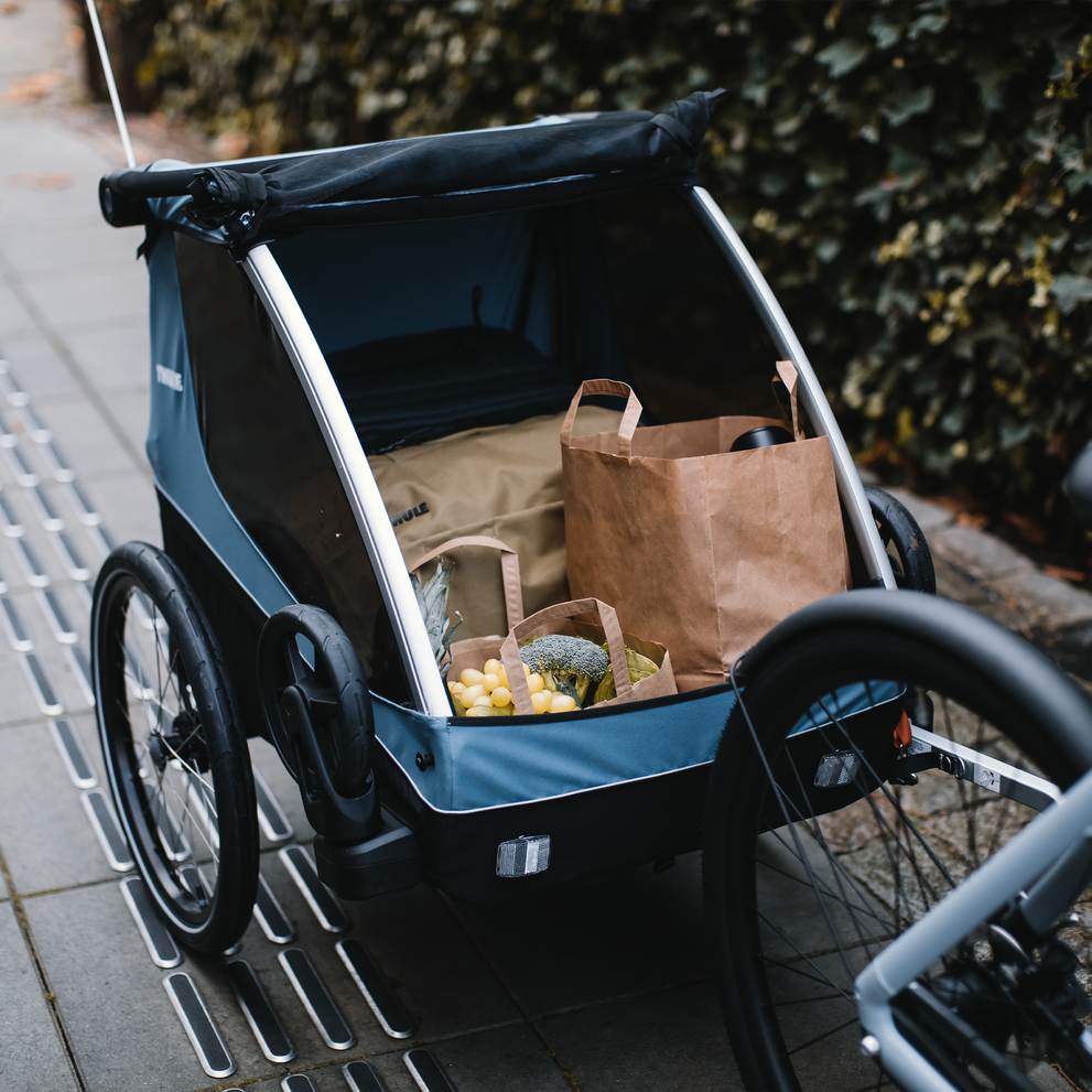 A close-up of groceries inside the blue Thule Courier cargo bike trailer.