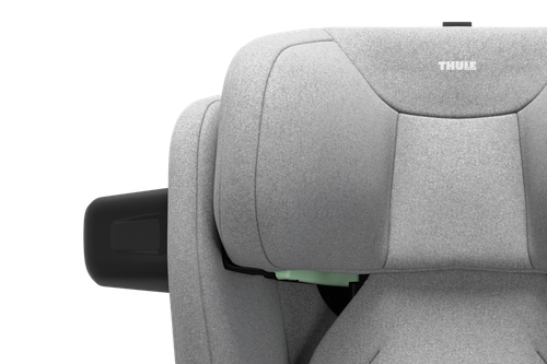 Thule Palm