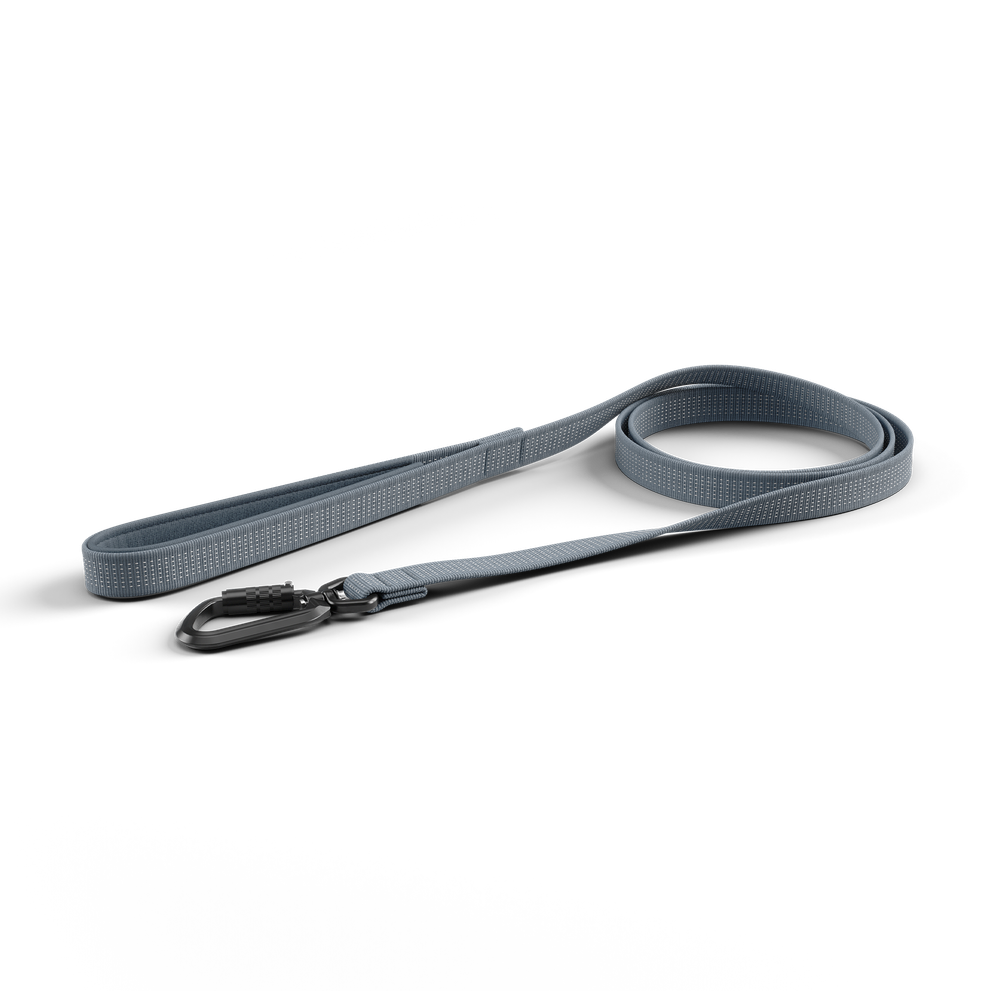 Thule Dart leash short dark slate