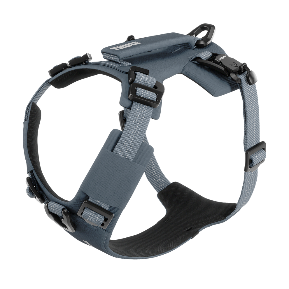 Thule Dart harness XS dark slate