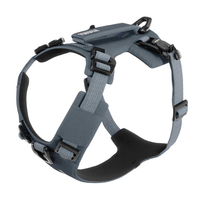 Thule Dart harness XS dark slate