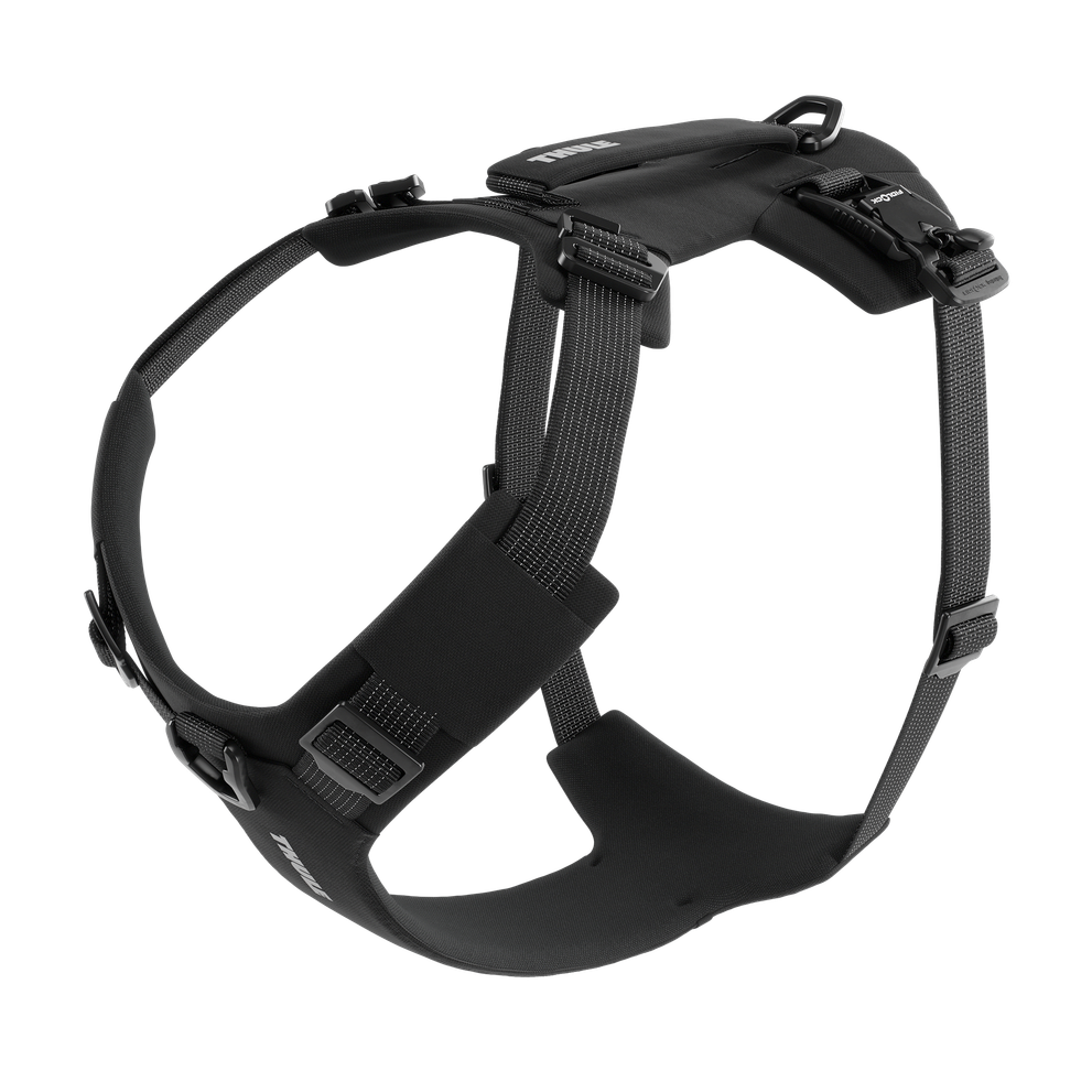 Thule Dart harness XL black