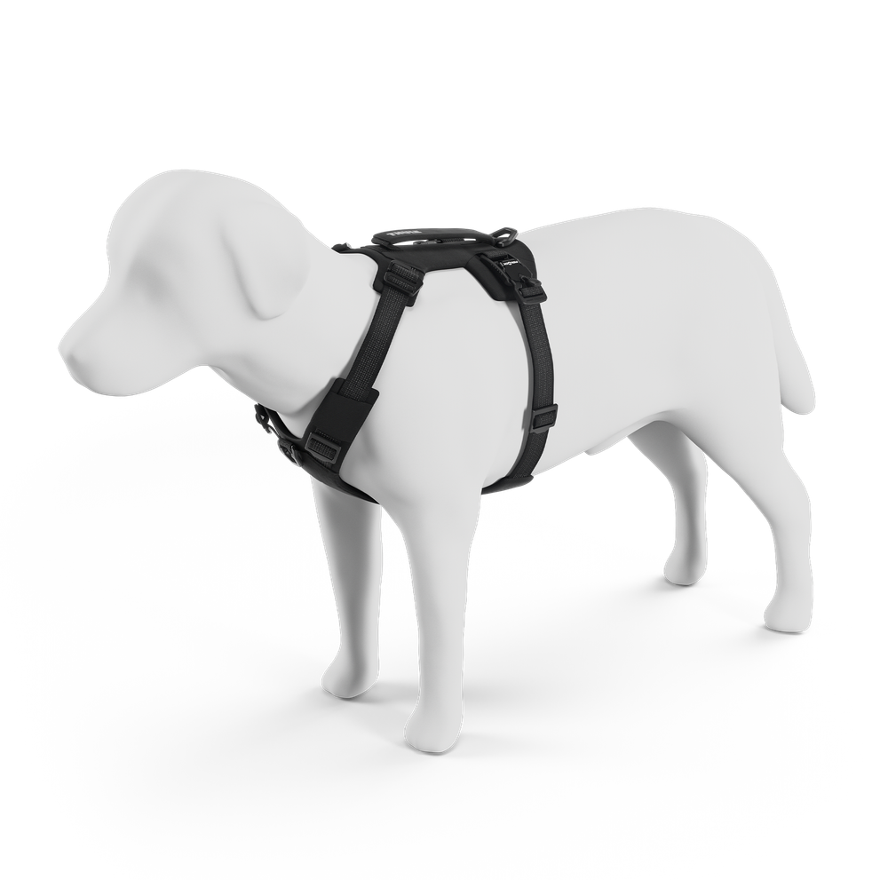 Thule Dart harness M/L/XL black