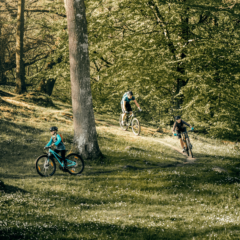 Three people go mountain biking in a forest with Thule Uptake hydration backpacks.