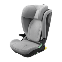 Thule Palm car seat