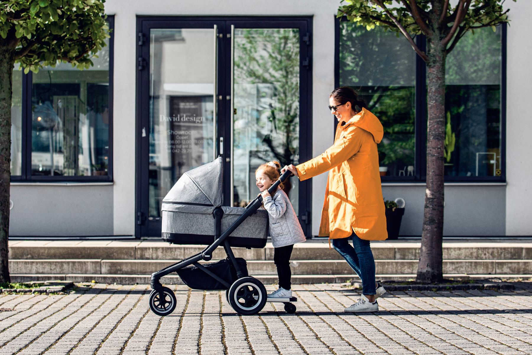 thule sleek weight limit