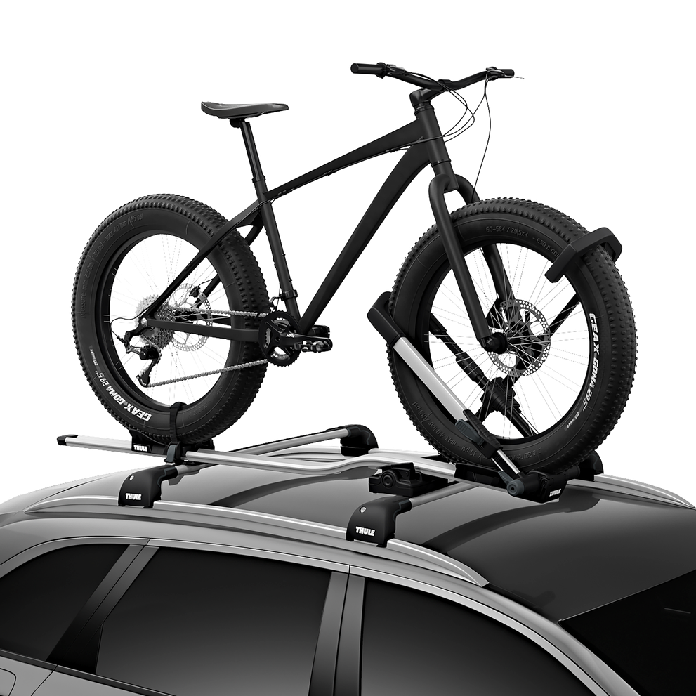 Thule bike on sale mount roof