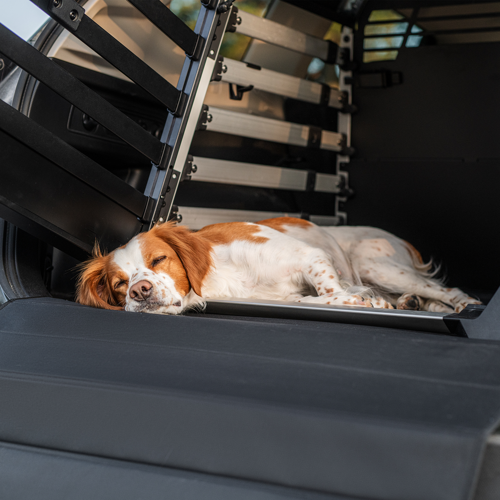 A brown and white dog lies inside the Thule Allax dog crate with a Thule Dog Crate Mat.