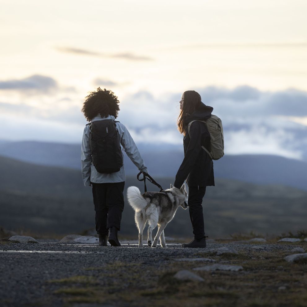 Two women walk down a country trail walking a dog, carrying Thule AllTrail hydration backpacks.