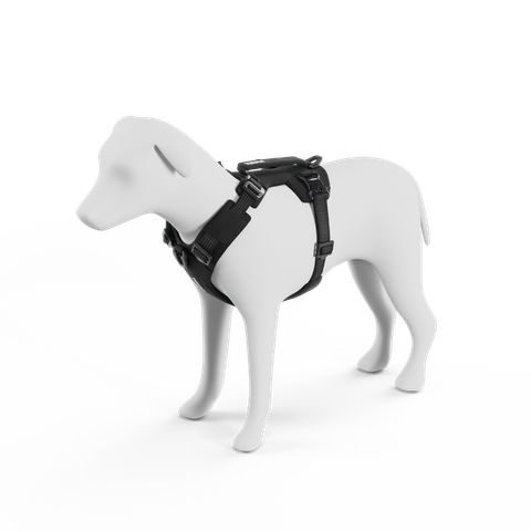 77120x_Thule_Dart_harness_XS_S_black_PP_01