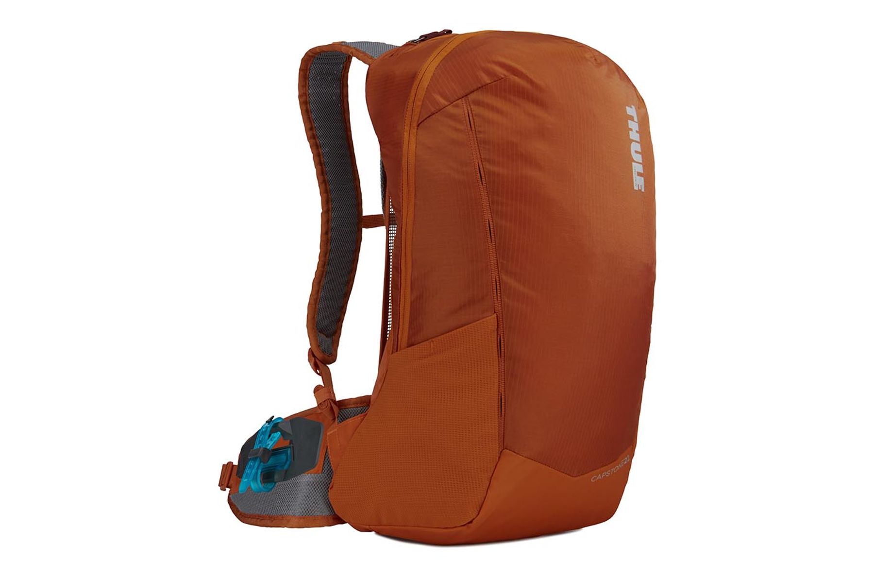 thule capstone 22l backpack