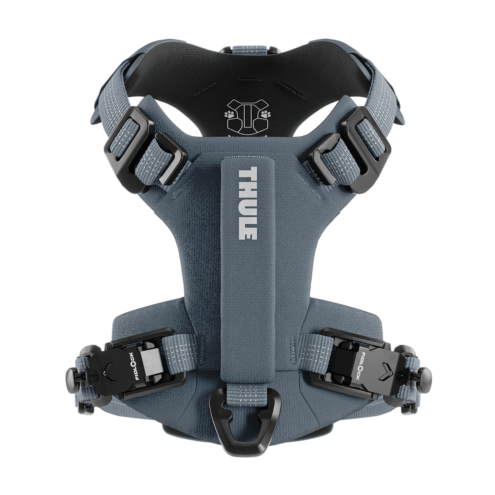 Thule Dart harness XS dark slate