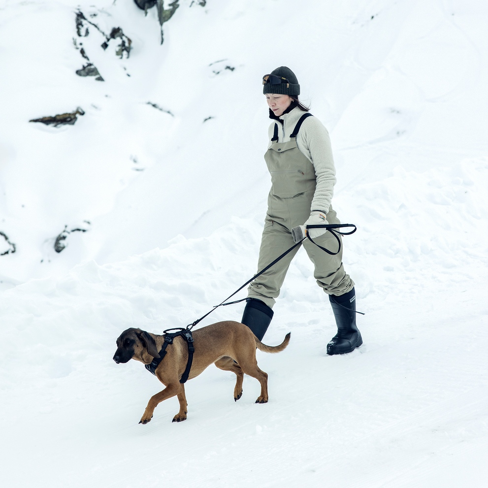 Adult walking a dog wearing a Thule Dart harness in a snowy landscape.