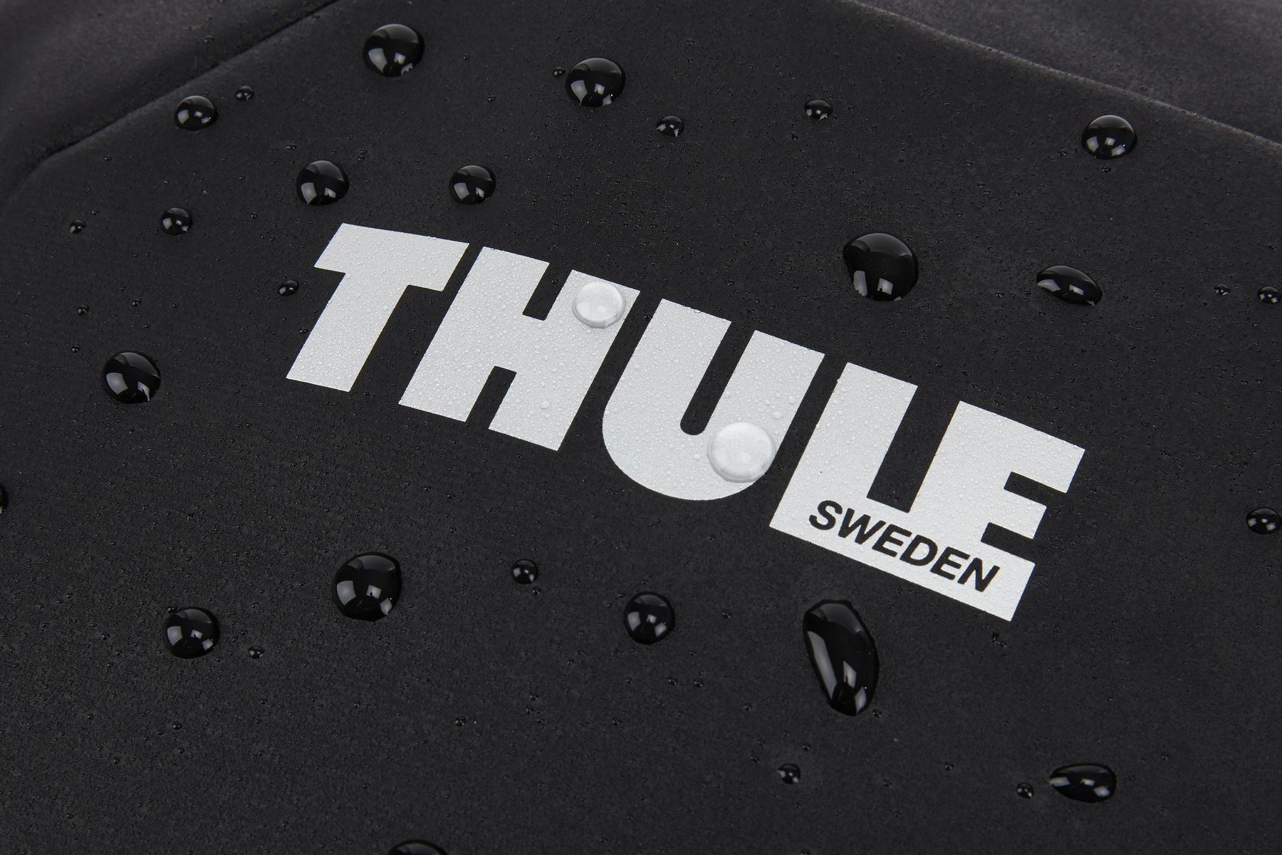 Thule Chasm Carry On