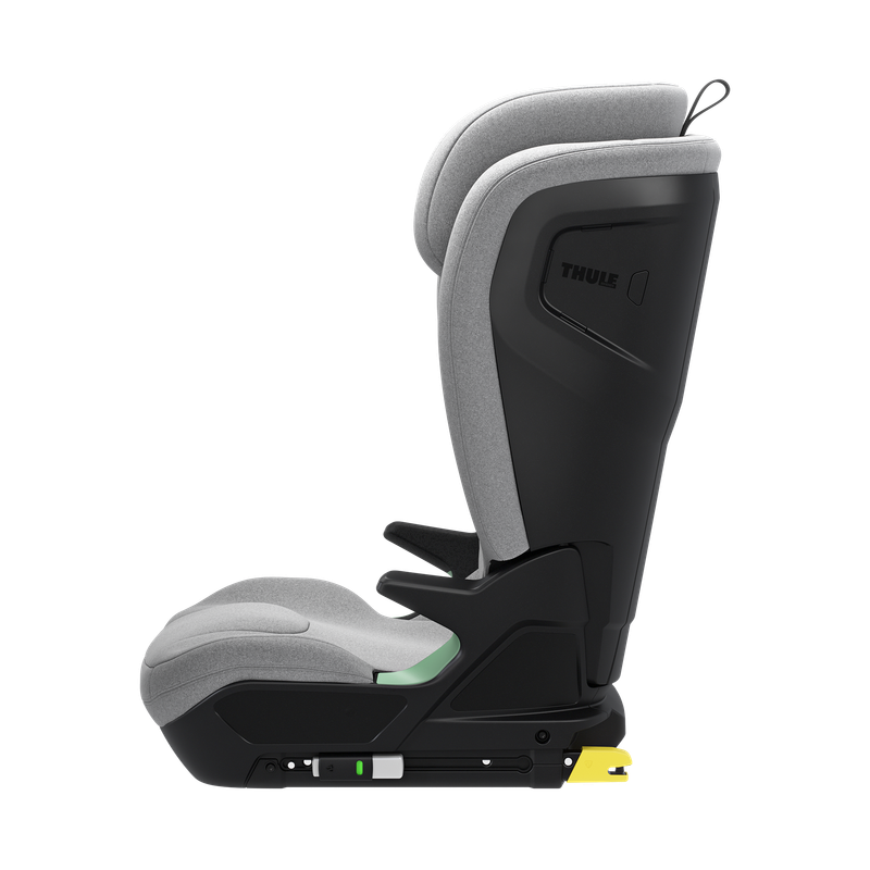 Thule Palm