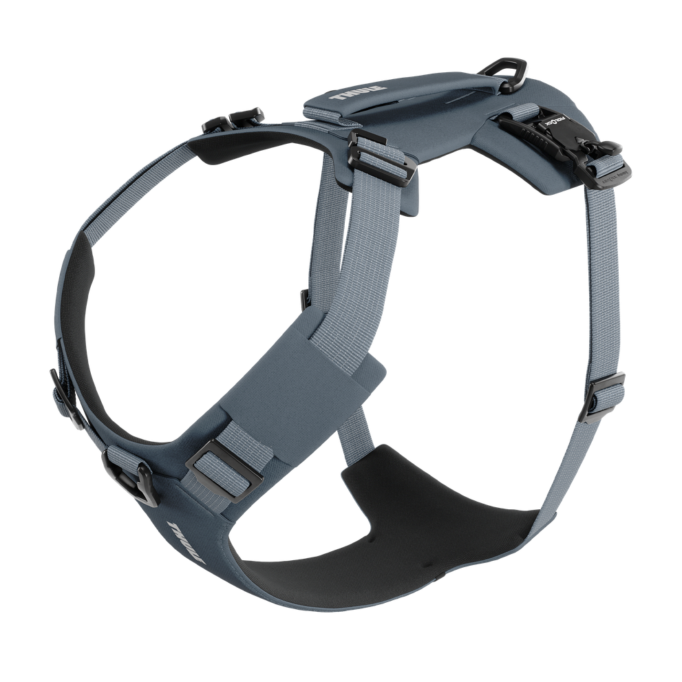 Thule Dart harness XL dark slate