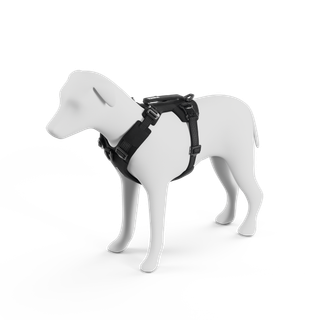 77120x_Thule_Dart_harness_XS_S_black_PP_01
