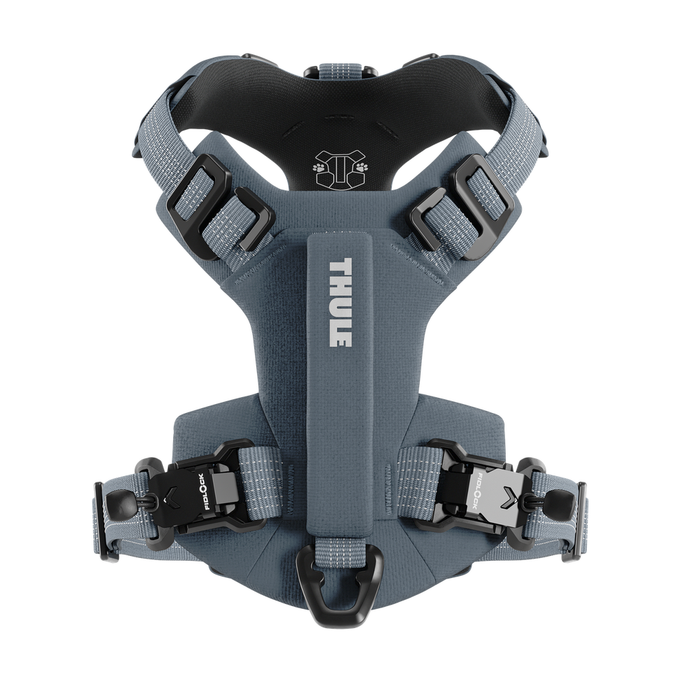 Thule Dart harness S dark slate