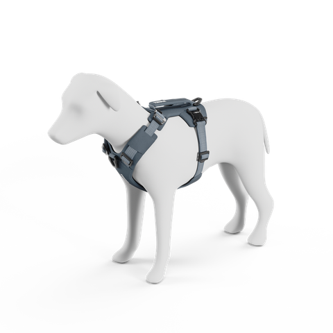 77120x_Thule_Dart_harness_XS_S_darkslate_PP_01