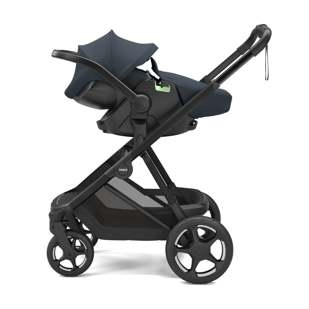 Thule Maple - Darkest blue