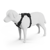 Thule Dart harness M/L/XL black