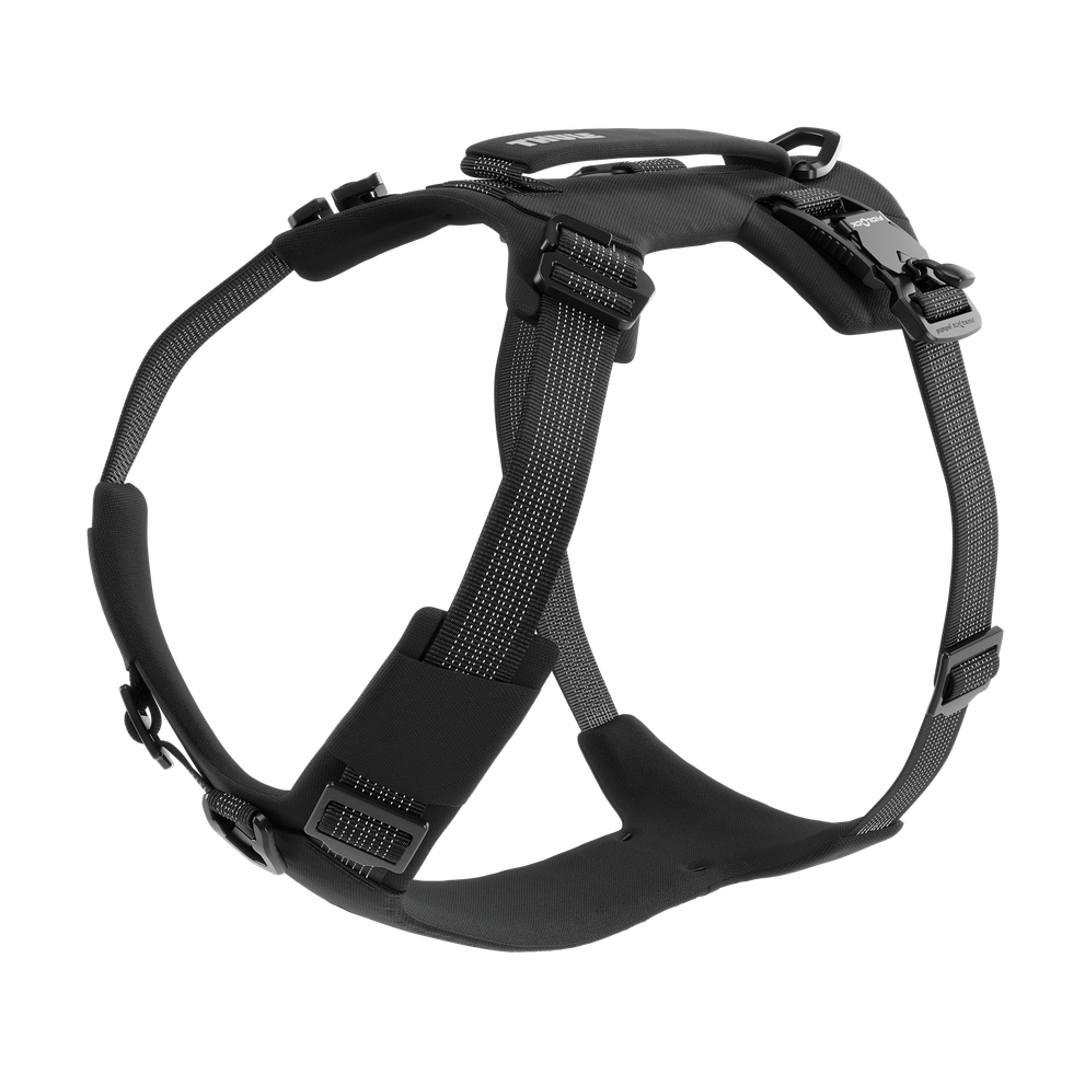 Thule Dart harness L black