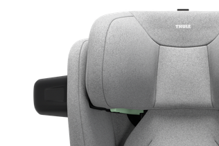 Thule Palm