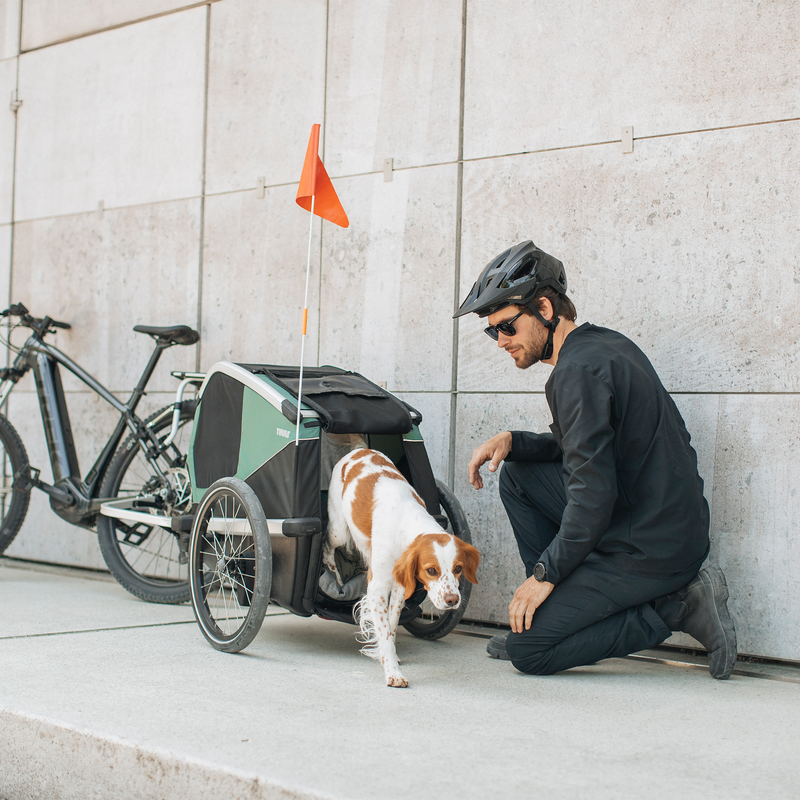 A person kneels beside a dog emerging from a Thule Bexey dog bike trailer hitched to a bicycle, with a safety flag attached. They are both next to a concrete wall.