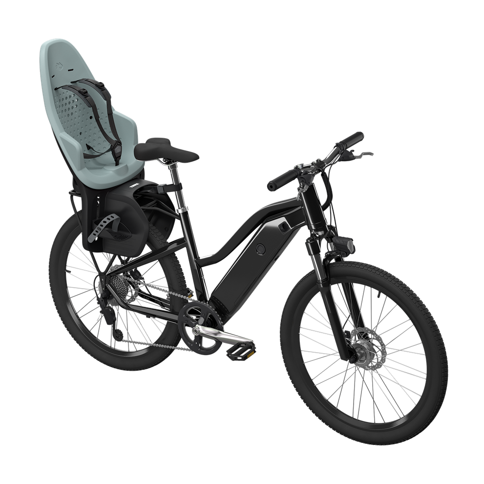 Thule Yepp 2 MIK HD rack mounted child bike seat alaska blue