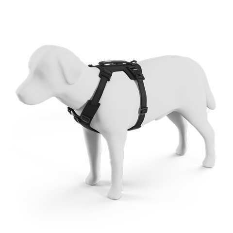 77120x_Thule_Dart_harness_M_L_XL_black_PP_01