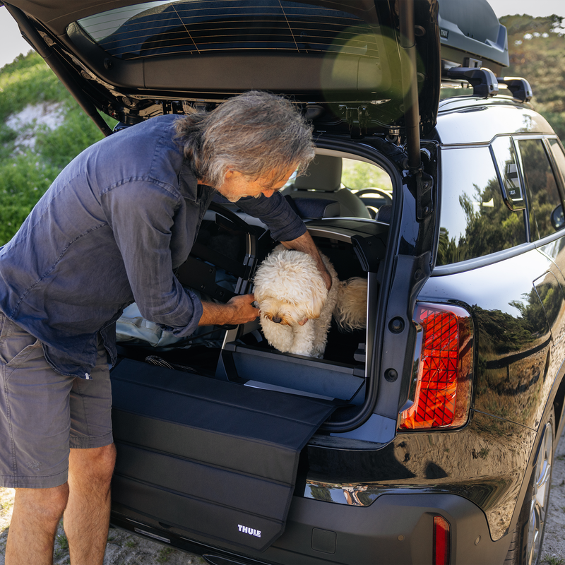 Man placing a small white dog into a Thule Allax dog crate in the back of an SUV, with the rear door open.