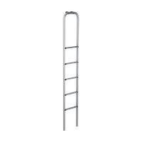 Thule Ladder indoor ladder 5 steps anodised gray