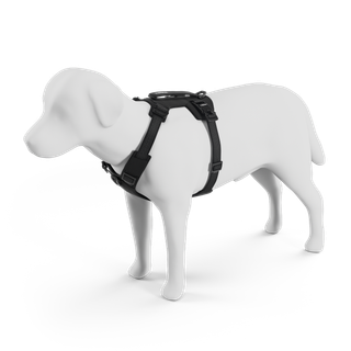 77120x_Thule_Dart_harness_M_L_XL_black_PP_01