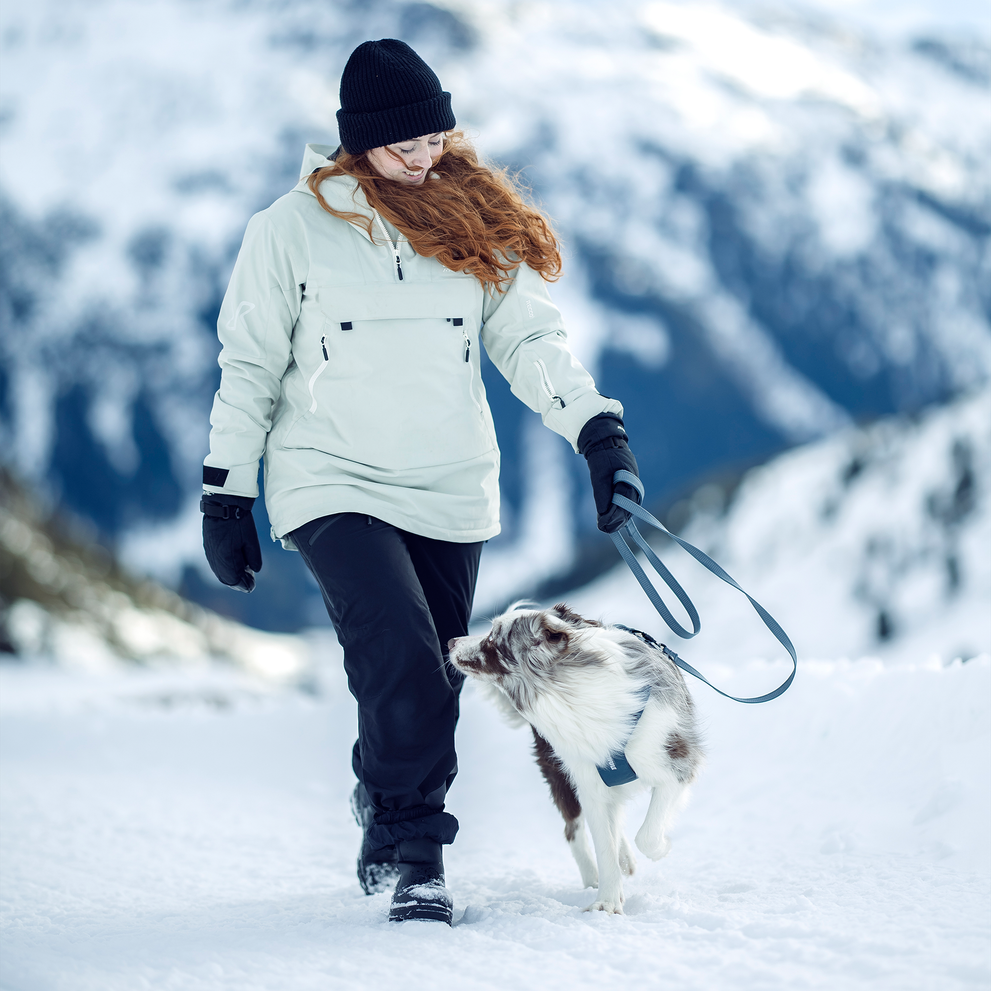 Adult walking a dog wearing a Thule Dart harness in a snowy mountain landscape.
