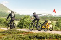 Thule Chariot Sport 1-seat Multisport Bike Trailer