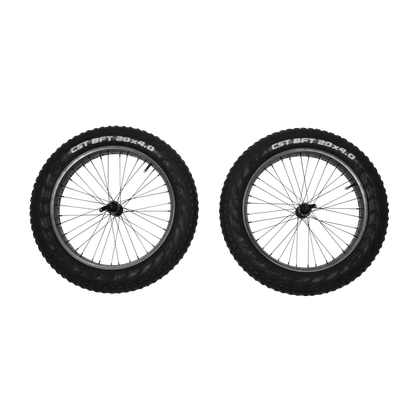 10101415_Reacha_20_fat_tire_wheel_set