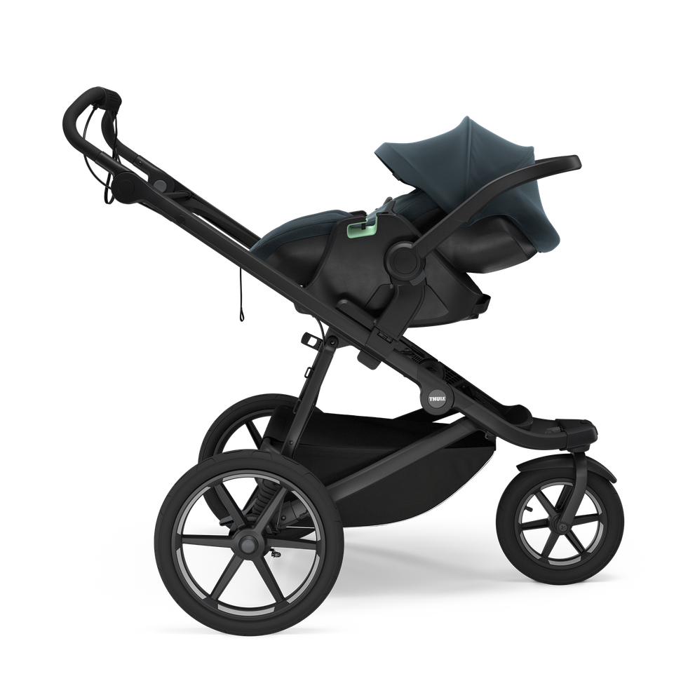 Thule Maple - Darkest blue