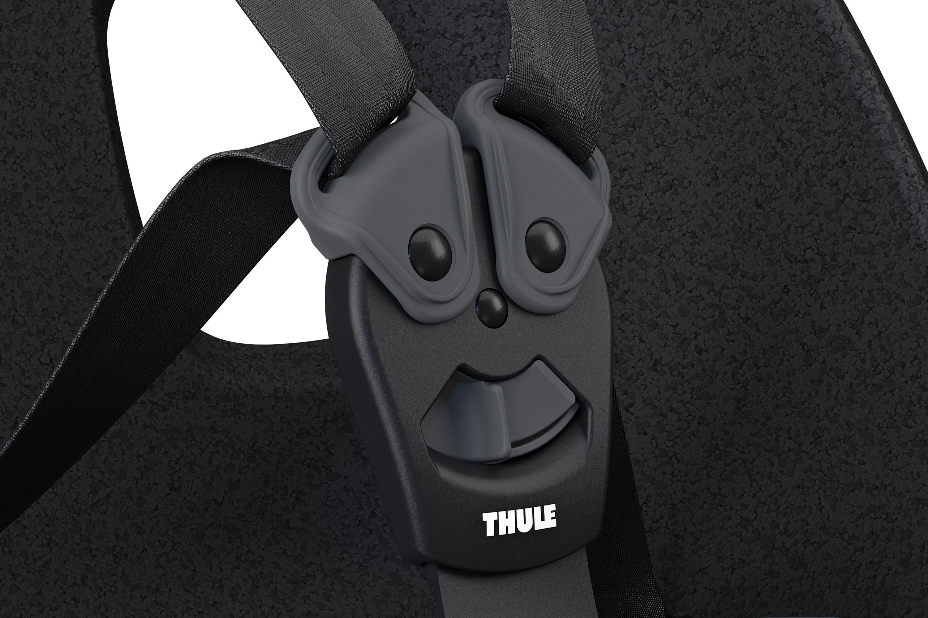 Thule Yepp Nexxt 2 child bike seat